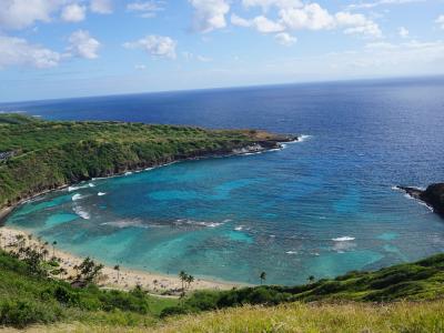 ハウオリ・オーシャン・スタイル Hau'oli Ocean Styleの最新画像