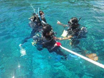 シープラネットの最新写真