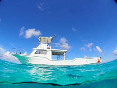 ダイビングショップ アクアスター DIVINGSHOP AQUASTARの最新写真
