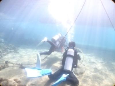 城ケ崎インディーズの最新写真
