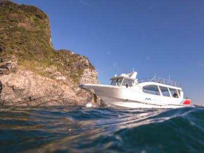 大分ダイビングサービスSEDNAの最新写真