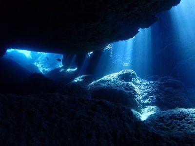 Gダイビング石垣島の最新写真