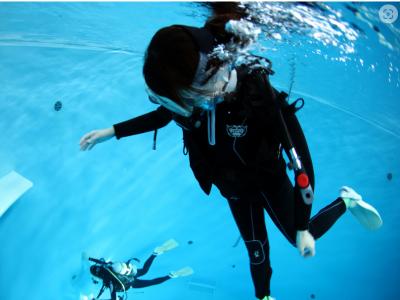 エルダイブの最新写真