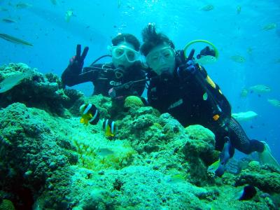 奄美大島エンドレスブルーの最新写真