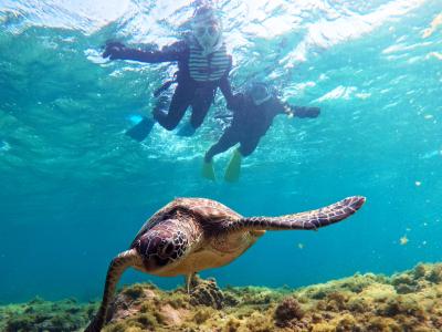 OCEANZ オーシャンズの最新写真