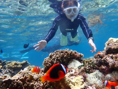 シーライト Sea Lightの最新写真