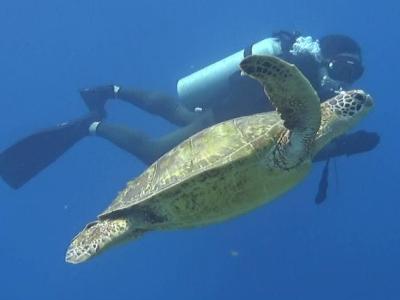 沖縄アクアライフ AQUA LIFEの最新写真