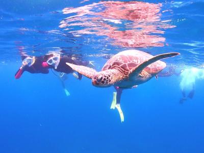 石垣島ダイビングショップABCdiveの最新画像
