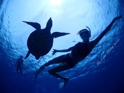 DeevaOCEANFIELD沖縄の最新写真