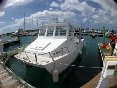GO DIVE GUAMの最新写真