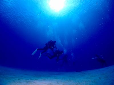 シーマンズベイダイビングクラブの最新写真