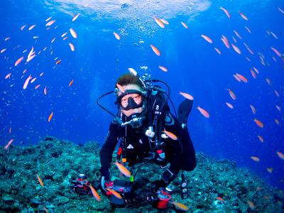 BLUE ALOHA宮古島の最新画像
