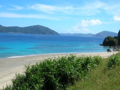 コリンズダイビングクラブの最新写真