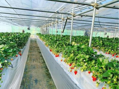 はるなつファームの最新写真