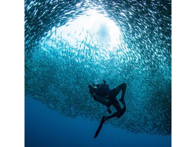バンズダイビングリゾートコタオ Ban's Diving Resort Koh Taoの最新写真