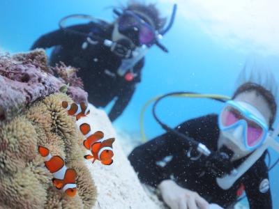 カマンタダイビングクラブ石垣島の最新写真