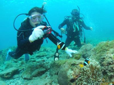 串本ダイビングパーク・串本海中公園の最新写真