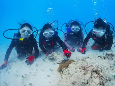 アクアドロップの最新写真