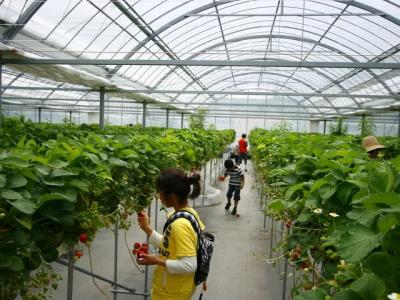 Baby Berry Farmの最新写真