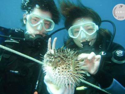ダイブサプライの最新写真