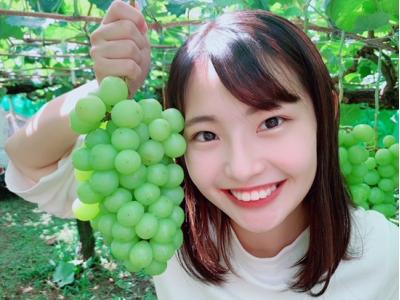 御坂農園グレープハウスの最新画像