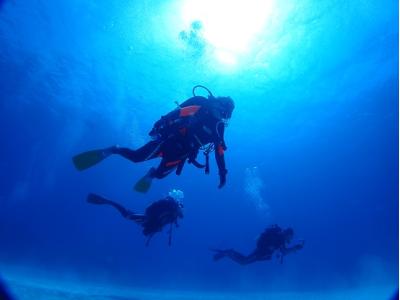 伊豆高原ダイビングスクール　渋谷店の最新写真