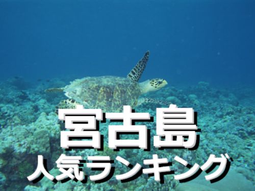 宮古島の人気ランキング