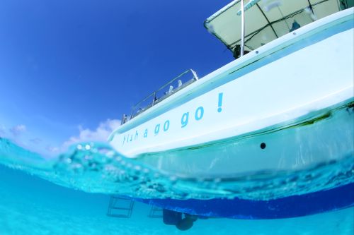 宮古島ダイビングサービス　Fish a go go!　（フィッシュアゴーゴー）の最新写真