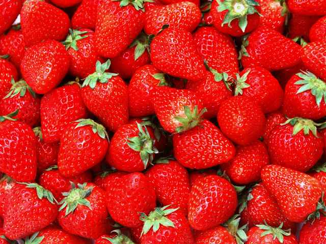 時間無制限のいちご狩り