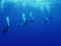 久米島のダイビングスタイル