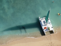 自社ダイビング専用ボート