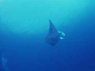 沖縄那覇のスタイル