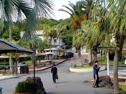 伊豆海洋公園のダイビングスタイル