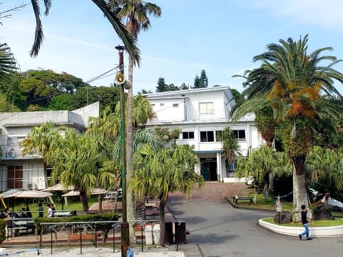 伊豆海洋公園のダイビングスタイル