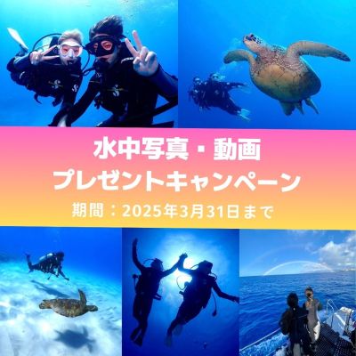 ホロホロオーシャンダイバーズの最新写真