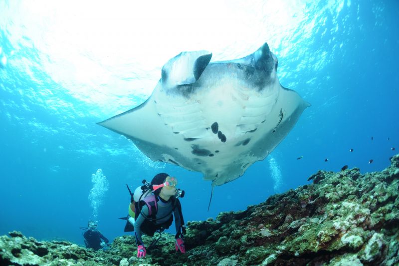 スマイルバング石垣島の最新写真