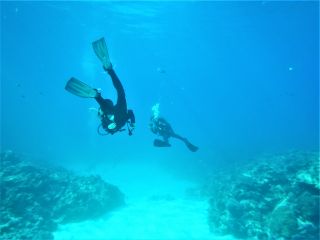 リフィーダイビングクラブの最新写真