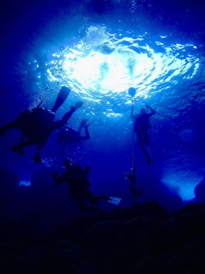 アクアデルレイ AQUADELREYの最新写真