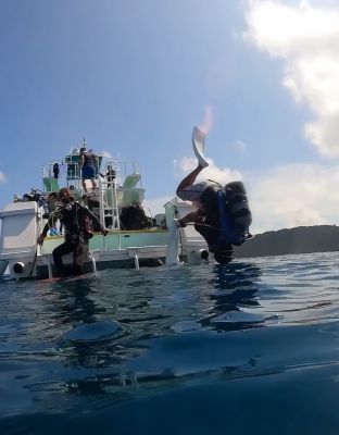 MARUDAI マルダイの最新写真