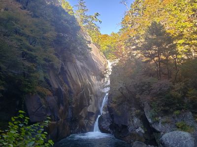 山梨ワイン王国の最新写真