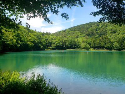 native sup ネイティヴサップの最新写真