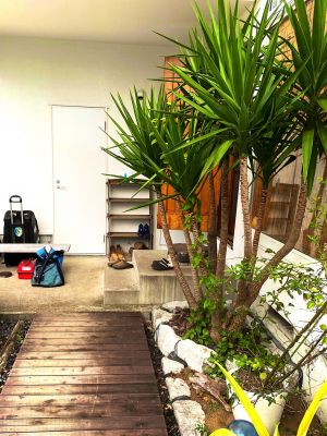 伊豆海ダイビングリゾートの最新写真