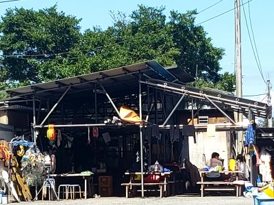 ダイビングサービス熱海の最新写真