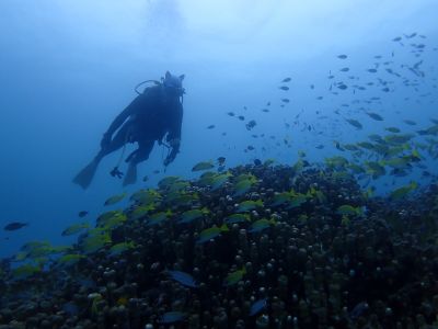 ヌヌ・アドベンチャー・クラブ石垣島の最新写真
