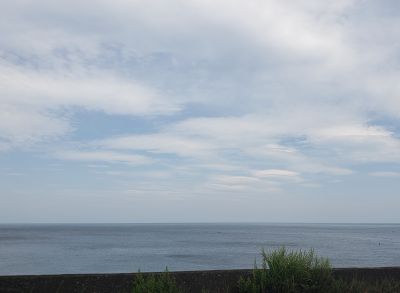 石橋ダイビングセンターの最新写真