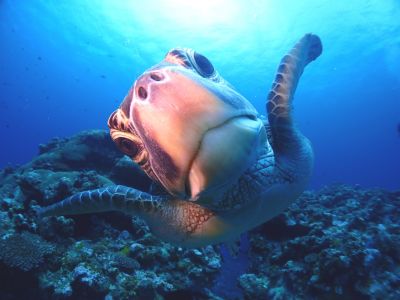 S2CLUB石垣島の最新写真