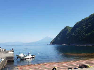 マリンクリエイト井田の割引プラン