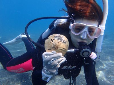 沖ノ島ダイビングサービ..