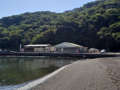 ちどりマリンサービスの最新写真