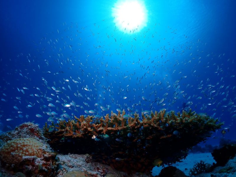 カイザーマリンクラブの最新写真